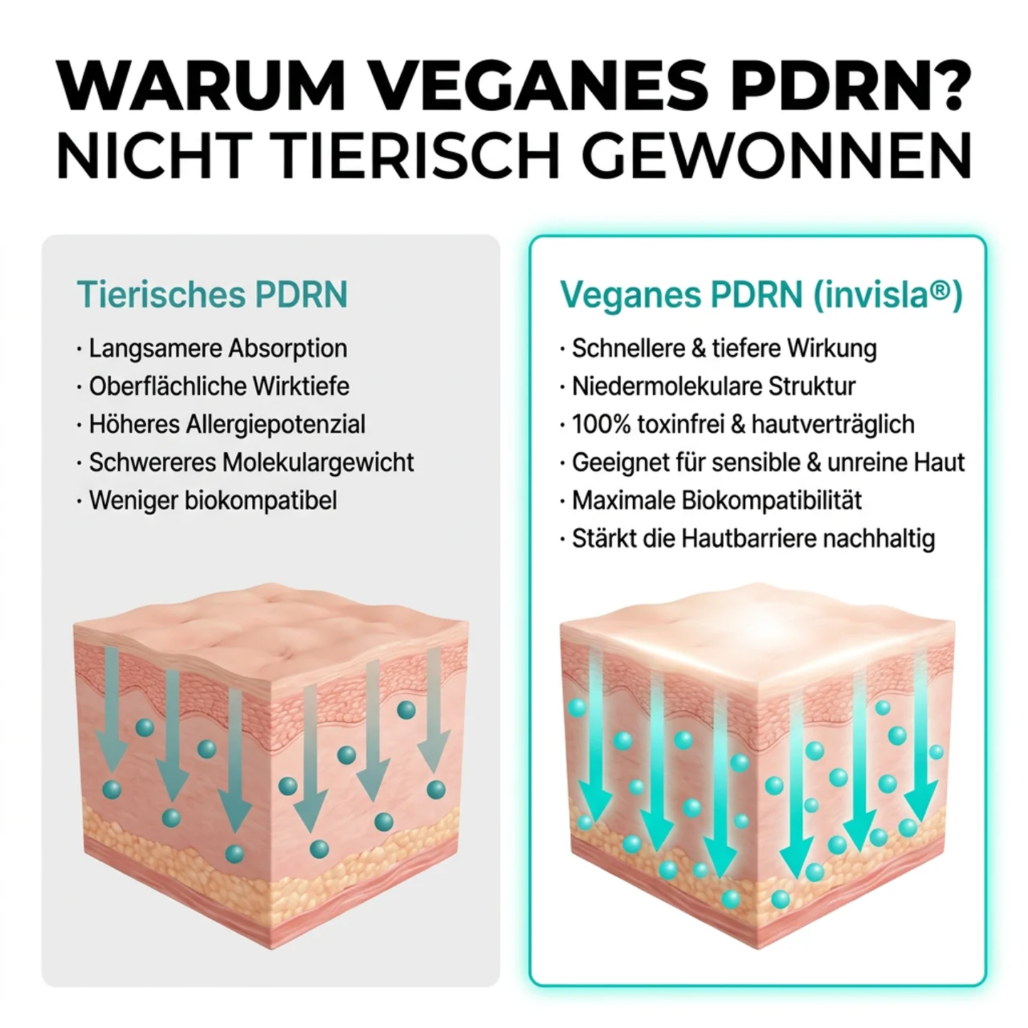 PDRN CAPSULE Creme Intensivpflege